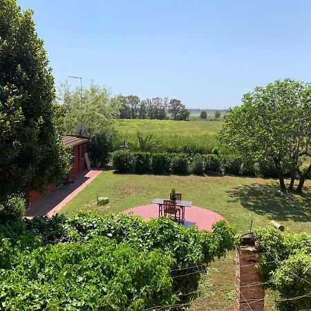 Casale Degli Ulivi Maccarese Villa Le Cerquete Buitenkant foto