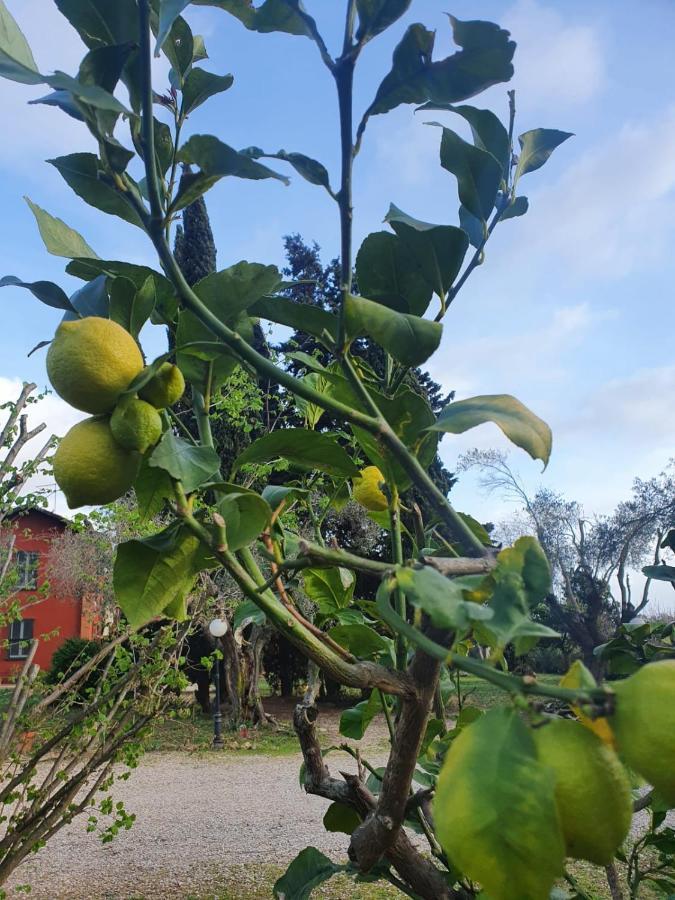 Casale Degli Ulivi Maccarese Villa Le Cerquete Buitenkant foto