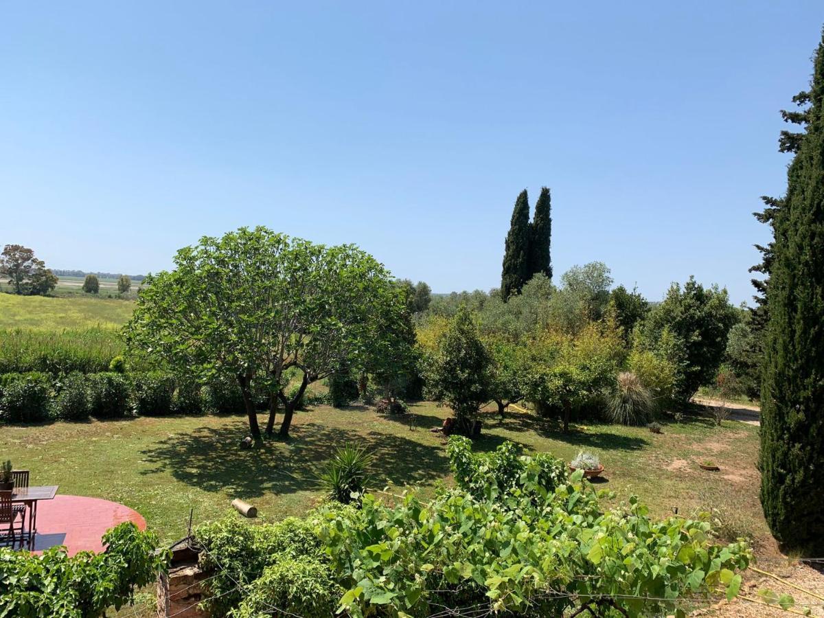 Casale Degli Ulivi Maccarese Villa Le Cerquete Buitenkant foto