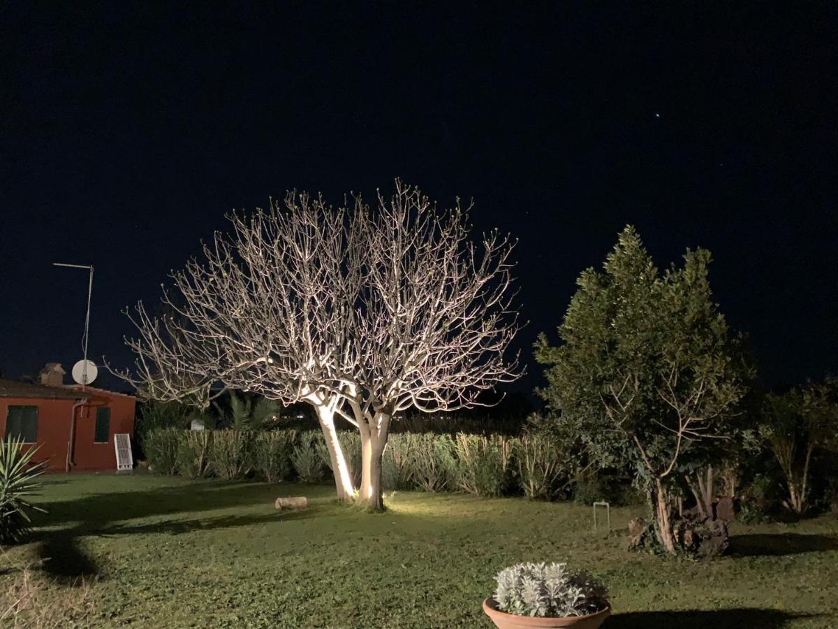 Casale Degli Ulivi Maccarese Villa Le Cerquete Buitenkant foto